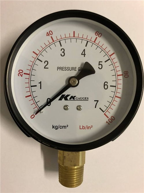 大興安嶺地區(qū)壓力表 圣科儀器儀表昆山 p牌壓力表